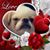 Julie Kunze's profile image