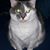 Raygina Kohlmeier's profile image