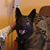 Sharon Holten's profile image