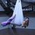 Amanda Quintanilla's profile image