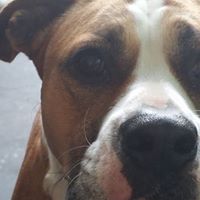 Lynn Lindberg's profile image