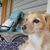 Maureen Connelly Jones's profile image