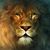 Gary Magari's profile image