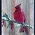 Mary Ann Miller Maciejewski's profile image