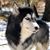 Beth Cottrell's profile image