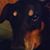 Al Pintar Jr.'s profile image
