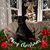 Sheri Betancourt's profile image