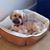 Evalyn Eberle's profile image