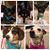 Holly Eck's profile image
