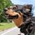 Lisa Girard's profile image