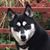 David Erickson's profile image