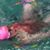 Annie Field Sullivan's profile image