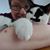 Kerri Leigh Diegel's profile image