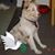 Da Tinney's profile image