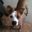 Kiersten Bagley's profile image