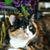 Sandy Martinson's profile image