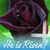 Ashley Coleman's profile image
