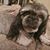 Casey Jenniey Elliott's profile image