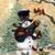 Dana Collins Blevins's profile image