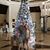 Szabone Pinczes Aniko's profile image