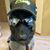 Bryan Diggins's profile image