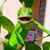 Joseph Harden's profile image