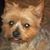 Karin Hockett's profile image