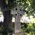 Heather Marrick's profile image