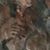 Kate Hollister's profile image