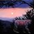 Ian Hale.'s profile image