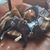 Kelly Van Leeuwen Gross's profile image
