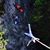 Dawn Cofone's profile image