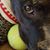 Cindy Thomas's profile image