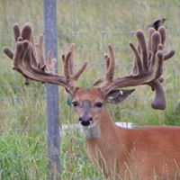 Brian Evans's profile image
