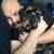 Dave Nguyen-Levine's profile image