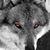 Michael Todd's profile image