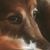 Laura Markfelder's profile image