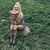 Melissa Rollison's profile image