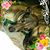 Gail Higgins Caswell's profile image