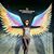 Rhonda Darling's profile image