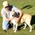 Mark Ailstock's profile image