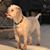 Linda Mace's profile image
