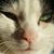 Marie Ykema's profile image