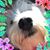 Tori R's profile image