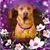 Heather Axtell's profile image