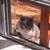MarySue Foster's profile image