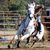 Debbie Brant's profile image