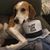Kimberly Ray Jessup's profile image