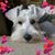 Gina Schooley's profile image