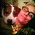 Suzy Murphy's profile image